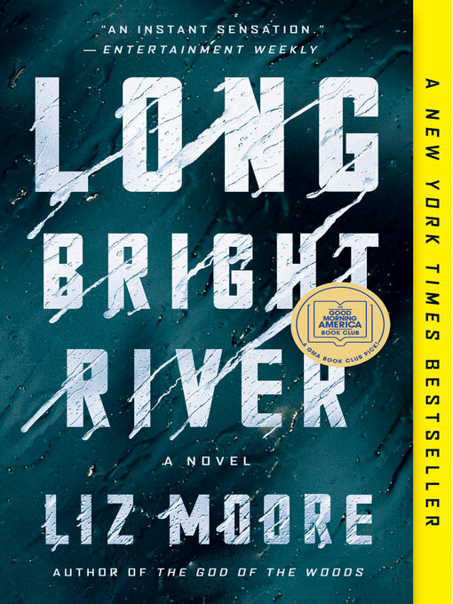 Title details for Long Bright River by Liz Moore - Wait list